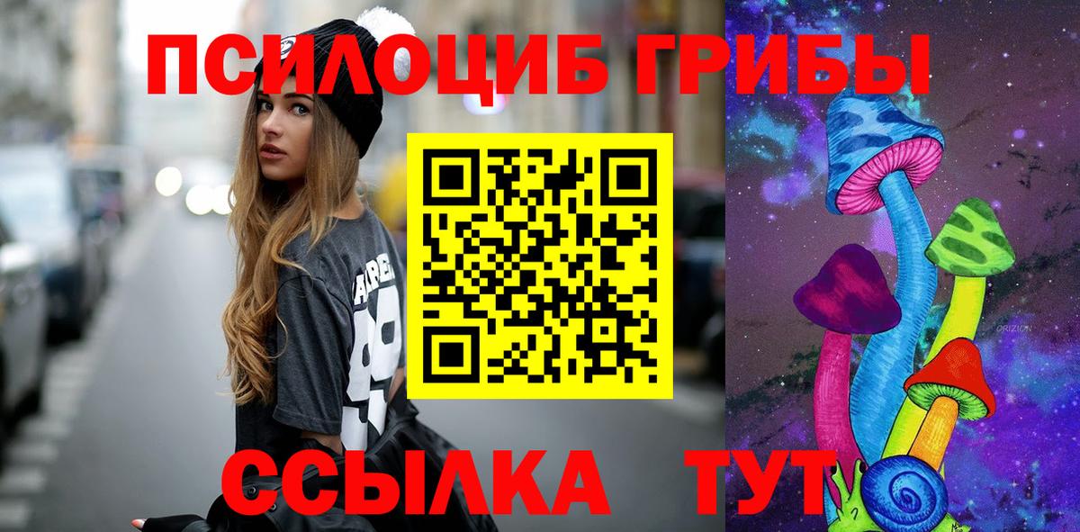 Псилоцибиновые грибы Cubensis  Вход с VPN  Нальчик 
