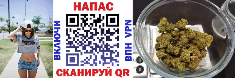 купить наркотик  Нальчик  МАРИХУАНА семена 